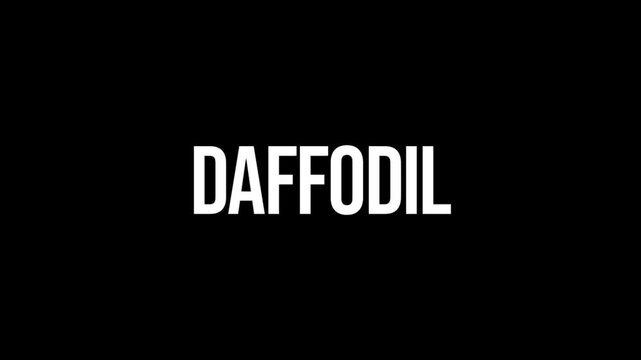 DAFFODIL text animation in bold white lettering on black. Perfect for spring, flowers, gardening, nature, and seasonal content.