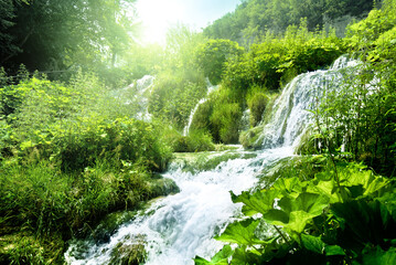Sunlight filtering through trees onto a cascading waterfall in a lush tropical forest with waterfall, cascading ©  SobuzForge