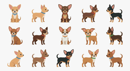 Fototapeta premium Vector collection of fifteen flat cartoon Chihuahua dog characters in various colors and poses, including sitting and standing, isolated on a white background for design elements.
