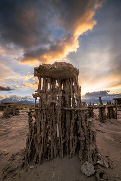 vertical image of tufa tower state reserve at Mono Lake
