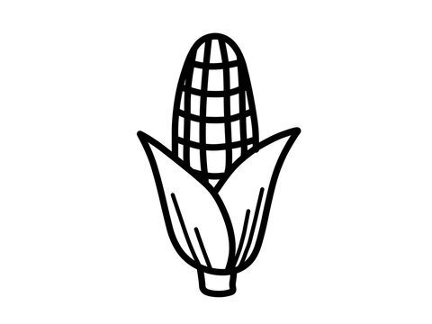 Hand drawn corn, simple vegetable icon, black