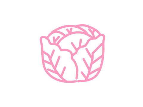 Hand drawn cabbage, simple vegetable icon, pink