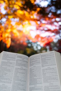 An open Holy Bible showing the Book of Psalms against a soft bokeh and bright autumn foliage background at Shirao Mountain Park, Fujinomiya, Japan. Vertical shot.
