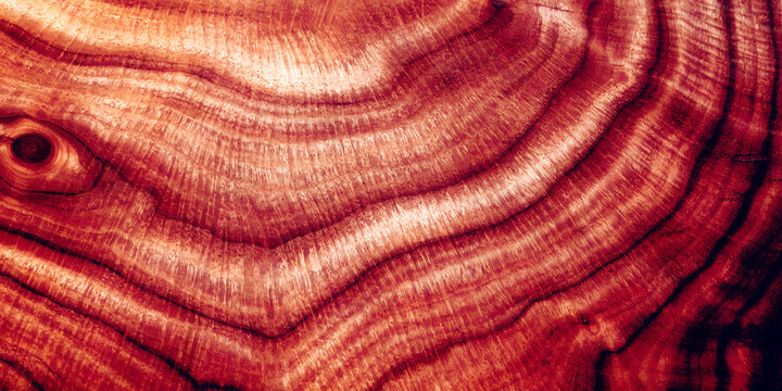 Exquisite luxury dark reddish brown exotic rosewood natural wood log cross section texture background pattern