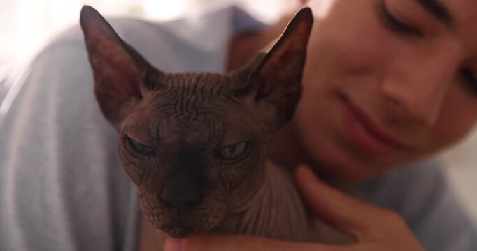 Teenage boy with Sphynx cat at home, closeup. Adorable pet