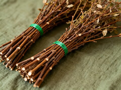 Bundles of Dried Twigs Tied with Green Bands
