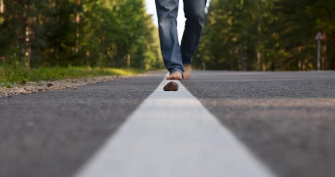 A small brown stone on a white line along which a barefoot man walks, the bare feet of a traveler walking along an asphalt road along a white line in the forest