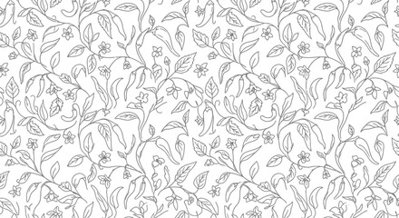 Fototapeta premium Chili Pepper Plant Botanical Illustration Pattern