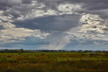 Fototapeta premium Open grassland stretching toward a distant tree line under dark clouds.