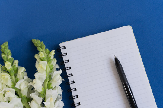 White flowers rest beside a notebook and pen. Blue surface holds quiet, thoughtful arrangement. No people are visible in this image. Ideal for journaling, planning, or creative inspiration