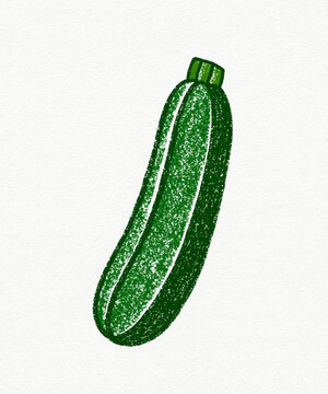hand drawn crayon illustration