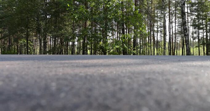 Grey asphalt road texture near green forest, empty asphalted driveway surface with blurry concrete foreground next to woodland trees