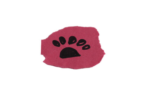 Varias huellas de una mascota en un papel rasgado en un fondo transparente 