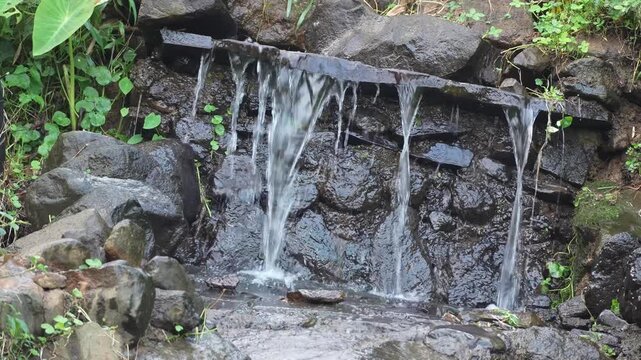 Small stone waterfall in a lush garden with fresh water trickling over dark rocks and green plants