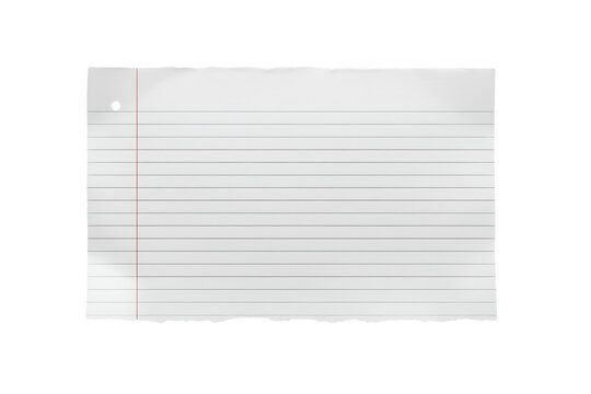 Blank white loose leaf notebook paper with blue lines red margin and punched hole