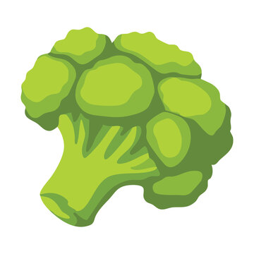 Broccoli Fresh Green Vegetable Illustration