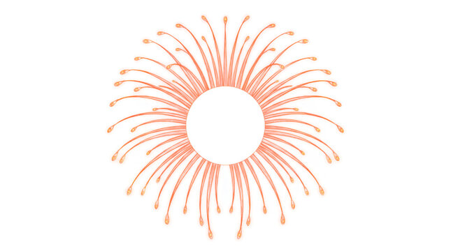 Hand Drawn Palm Dahlia Firework Behind Occluding Disc Glowing Transparent Overlay Design Element