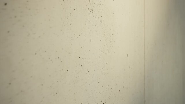 Slow forward camera motion over a white travertine stone wall showcasing its natural texture, pattern, and rough surface detail.