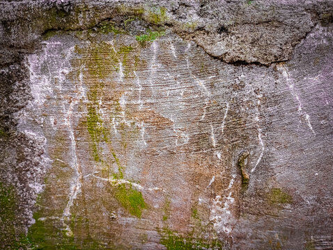 Weathered concrete surface covered with green moss