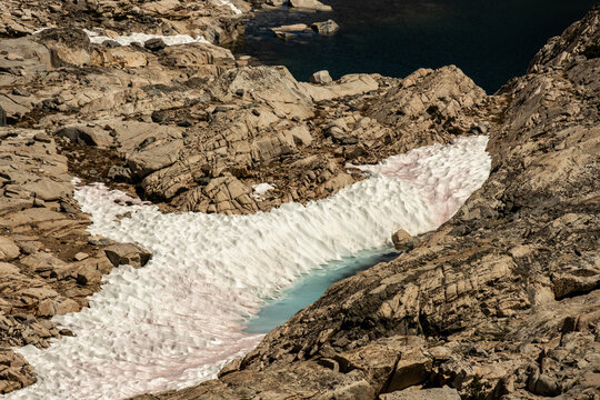 Small Pool Begins To Form As Snow Melts Along Glen Pass Trail In Kings Canyon