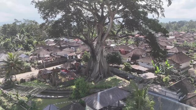 Aerial view of the monumental Bayan Ancient Tree surrounded by traditional Balinese houses, rice fields, and palm trees in Indonesia.