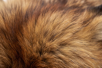 Fototapeta premium Detailed view of luxurious natural fox fur displaying soft texture