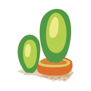 Cactus Pad Succulent Desert Plant