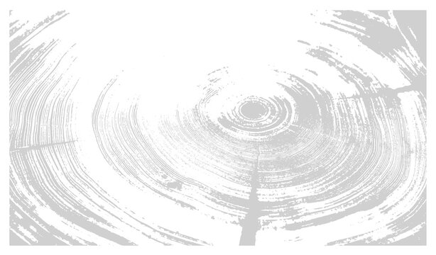 White and gray boho wood texture. Detailed black and white texture of a felled tree trunk or stump. Rough organic tree rings with close up of end grain. 