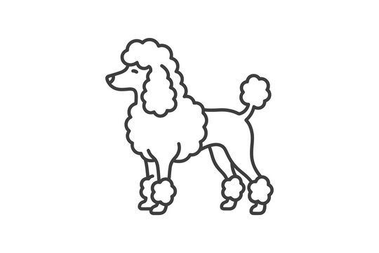 Minimalist Poodle Dog Vector Illustration