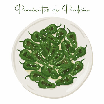 spanish padron pappers traditional food
