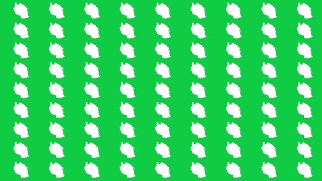 Tanzania map pattern scrolling perfect 15 second loop with green background