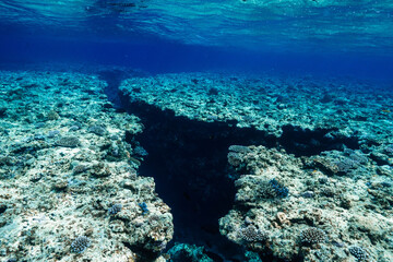 Dramatic Coral Reef Crevice and Underwater Canyon in Tropical Sea © Satoshi