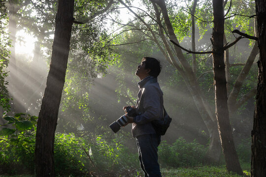 Photographer is taking photo while exploring in the pine forest for with strong ray of sun light inside the misty pine forest for photography and silhouette photo