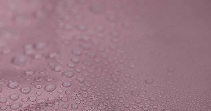 wet pink smooth plastic for wrapping gifts and bouquets, covered with water droplets smooth pink synthetic material, plastic after rain