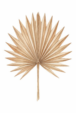 Dried Sun Palm Fan.svg