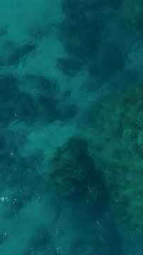 Aerial Top Down View of Clear Turquoise Ocean Water and Reef