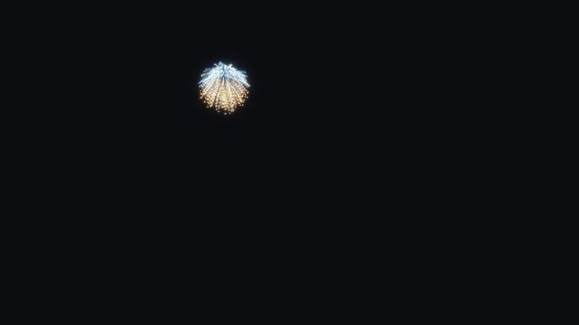 3d render firework A dynamic 3D rendering of a spectacular firework display against a velvety black sky