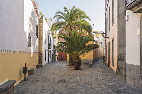 View of a narrow cobblestone street in the historic Vegueta district with palm trees and colorful colonial-style buildings in Las Palmas de Gran Canaria, Canary Islands, Spain.