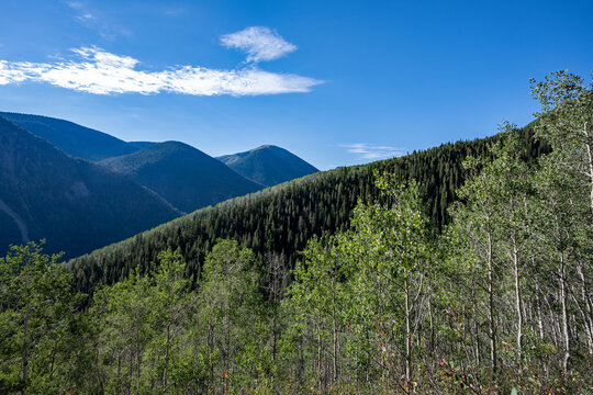 View from American Lake Trail in White River National Forest in Pitkin County, Colorado on sunny summer morning.