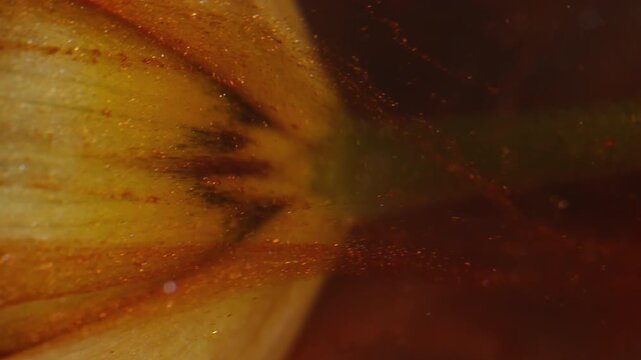 Vertical video. Flower drip. Spilling ink. Blur red color fume texture vapor yellow tropical plant shiny nature on abstract background.