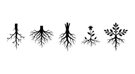 Obraz premium Black Silhouette Root Systems, Plant Growth, Botanical Elements, Organic Structure Icons