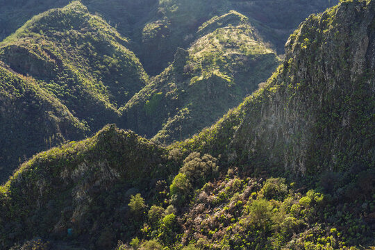 View of the rugged mountainous landscape of Vega de San Mateo with lush vegetation and rocky cliffs in Vega de San Mateo, Canary Islands, Spain.