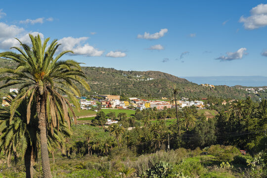 View of the town nestled in a green valley surrounded by hills and palm trees under a clear blue sky in Vega de San Mateo, Canary Islands, Spain.