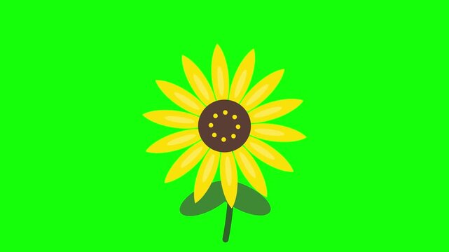 Flat 2D vector illustration of a bright yellow sunflower with a dark brown center and green stem, isolated on a solid lime green background for digital graphic design projects.