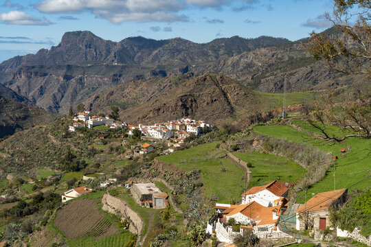View of the village of Tejeda nestled in the mountainous landscape of the Canary Islands with terraced fields and white houses with terracotta roofs, Tejeda, Canary Islands, Spain.