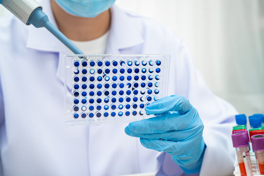 Scientist with cell culture in sample micro plate for research in science laboratory.