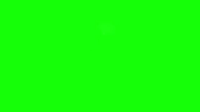 Green screen background provides a solid chroma key surface for video editing and compositing.