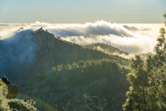 View of the rugged mountain landscape of Pico de las Nieves with pine trees and clouds rolling over the peaks during golden hour in Las Palmas, Canary Islands, Spain.
