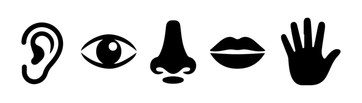 Five human senses icon set featuring ear eye nose mouth and hand silhouette symbols for medical study use.