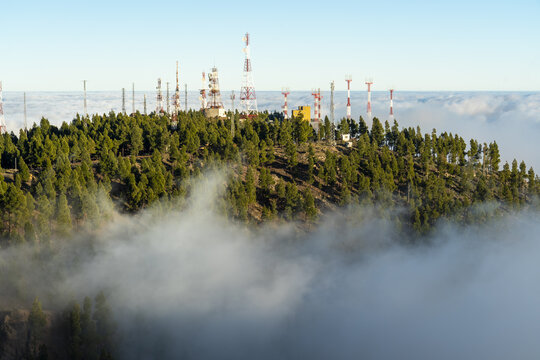 View of Pico de las Nieves with communication towers rising above a dense pine forest and a sea of clouds in Las Palmas, Canary Islands, Spain.